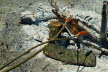 20120930154846_FUN-010