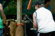 20120930154929_FUN-040