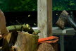 20120930154930_FUN-041