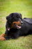 20120930155450_FS-SPIEL-026