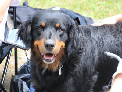 20140719122552_FUN_2014_019