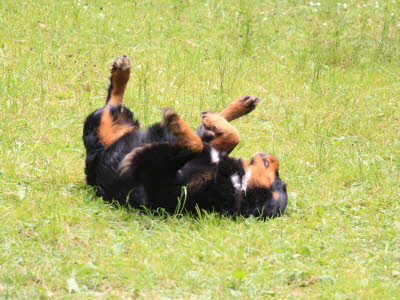 20140719122642_FUN_2014_032