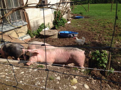 20150527184129_Paddel_047