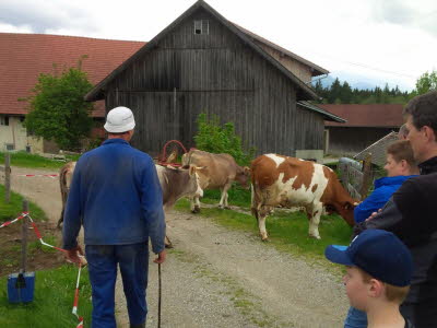 20150527184155_Paddel_054